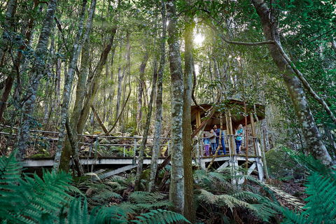 Scenic World Blue Mountains - Accommodation BNB 2