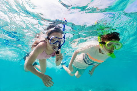 Snorkel Hat Head Creek - Accommodation BNB 0