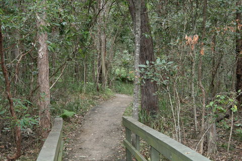 Springwood Conservation Park - Accommodation BNB 0