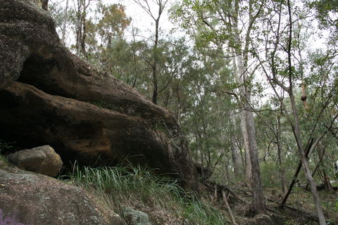 Springwood Conservation Park - Accommodation BNB 2