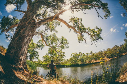 Sturt Gorge Recreation Park - Accommodation BNB 0