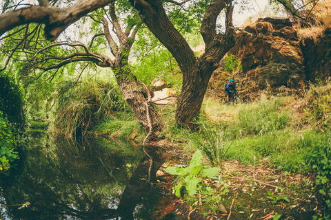 Sturt Gorge Recreation Park - Accommodation BNB 1