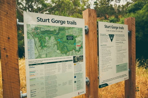 Sturt Gorge Recreation Park - Accommodation BNB 2
