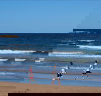 Surf Beach Batemans Bay - Accommodation BNB