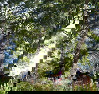 The Outlook Riding Academy - Accommodation BNB