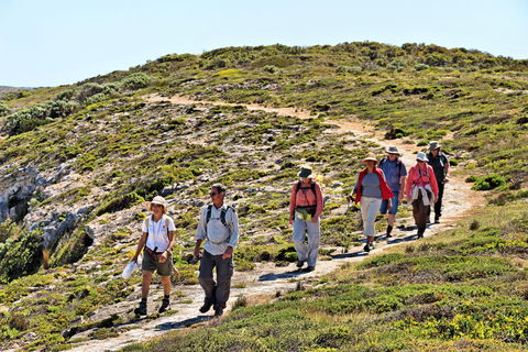 The Sole Walk At Hillocks Drive - Accommodation BNB 0