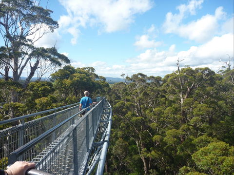 Walpole-Nornalup National Park - Accommodation BNB 0