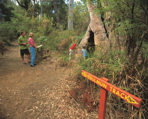 Walpole-Nornalup National Park - Accommodation BNB 1