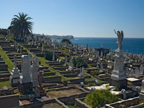 Waverley Cemetery - Accommodation BNB 0