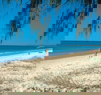 Woodgate Beach Park and Playground - Accommodation BNB