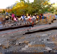 Australian Age of Dinosaurs - Accommodation BNB