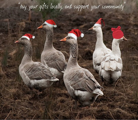 Bream Creek Farmers Market - Accommodation BNB 1