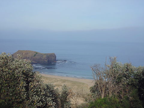 Bushrangers Bay - Accommodation BNB 0