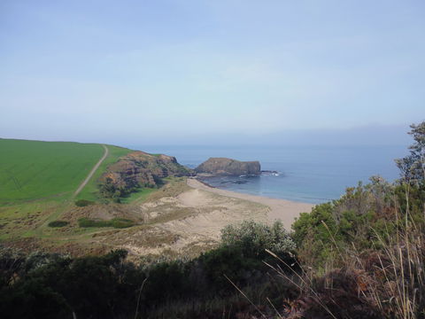 Bushrangers Bay - Accommodation BNB 1