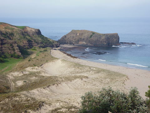 Bushrangers Bay - Accommodation BNB 2