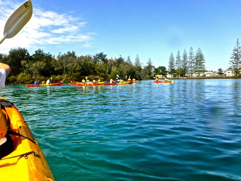 Byron Bay River Nature Kayak Tour - Accommodation BNB 0