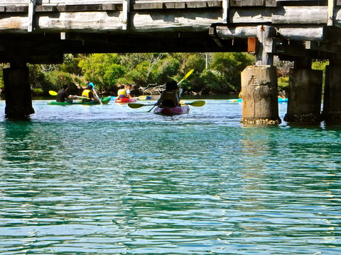 Byron Bay River Nature Kayak Tour - Accommodation BNB 1