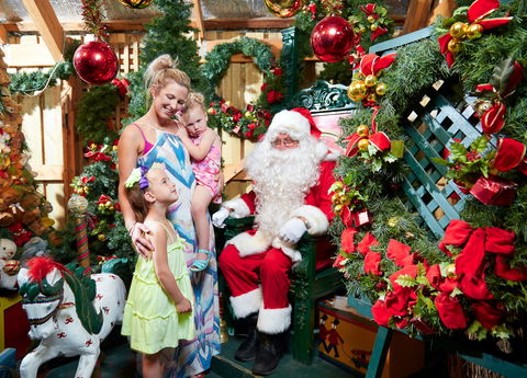Christmas Tree Farm - Accommodation BNB 2