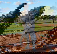 Cobar Miners Heritage Park - Accommodation BNB