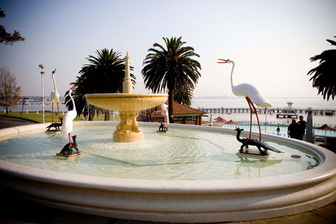 Eastern Beach Reserve - Accommodation BNB 0