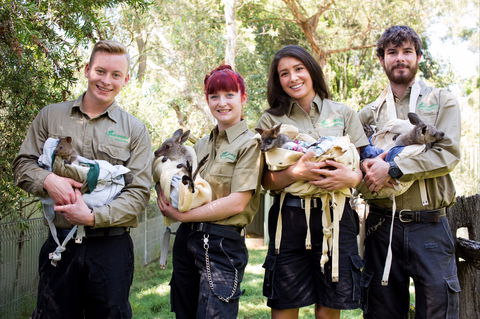 Featherdale Wildlife Park - Accommodation BNB 0