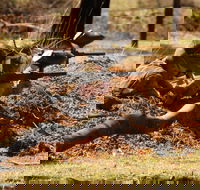 Freycinet Paintball and Campground - Accommodation BNB