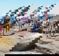 Gondwana Coast Fossil Walk - Accommodation BNB