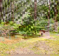 Goodenia Rainforest picnic area - Accommodation BNB
