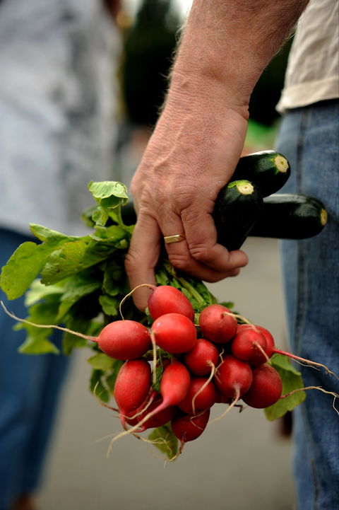 Harvest Launceston Community Farmers' Market - Accommodation BNB 1