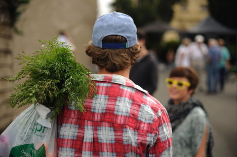 Harvest Launceston Community Farmers' Market - Accommodation BNB 2