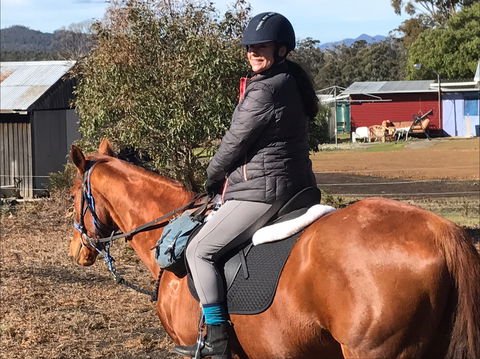 Horse Riding Tasmania - Accommodation BNB 1
