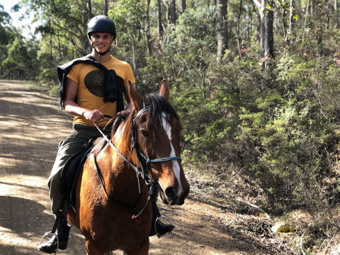 Horse Riding Tasmania - Accommodation BNB 2
