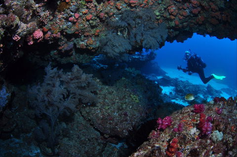 Hutchinson Shoal Dive Site - Accommodation BNB 0