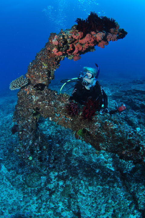Hutchinson Shoal Dive Site - Accommodation BNB 1