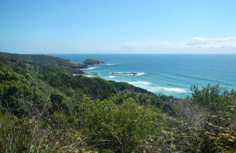 Jack Perkins Walking Track - Accommodation BNB 0