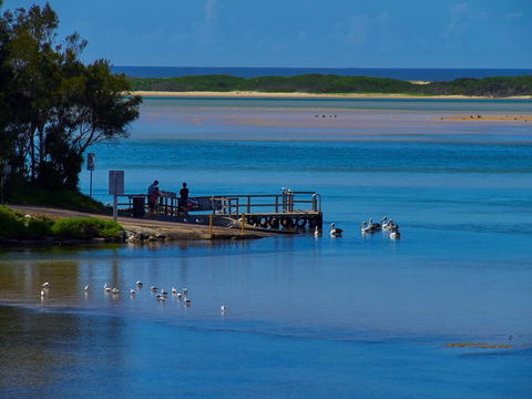 Kayaking Tuross Lake - Accommodation BNB 1