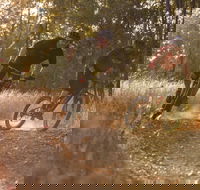 Kholo Gardens Trails - Accommodation BNB