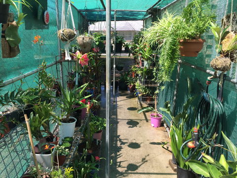 Kilcoy Craft Market - Accommodation BNB 1