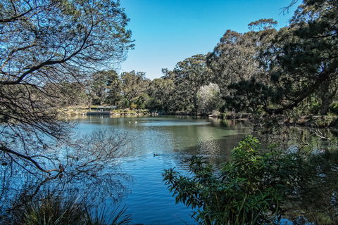 Lake Alexandra Reserve - Accommodation BNB 1