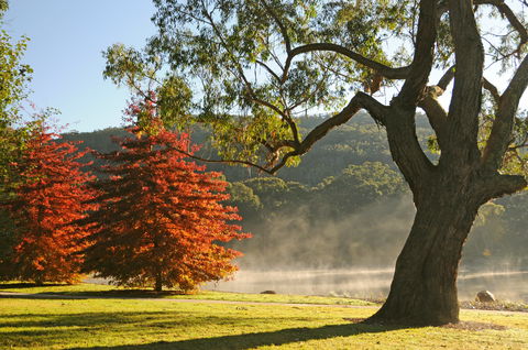 Lake Alexandra Reserve - Accommodation BNB 2