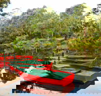 Lane Cove National Park - Accommodation BNB