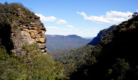 Leura Cascades - Accommodation BNB 1