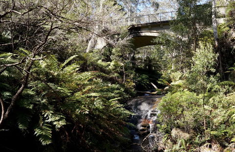 Leura Cascades - Accommodation BNB 2