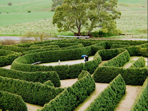 Mintaro Maze - Accommodation BNB 1