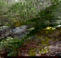 Mongarlowe River picnic area - Accommodation BNB