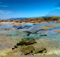 Moonee Beach trail - Accommodation BNB