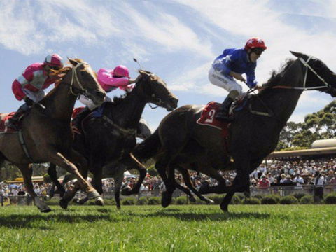Moruya Racecourse - Accommodation BNB 0