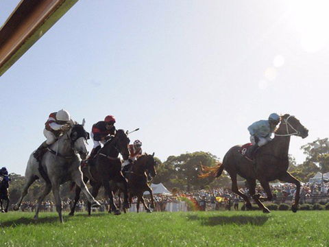 Moruya Racecourse - Accommodation BNB 1