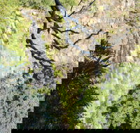 Morans Falls track Lamington National Park - Accommodation BNB