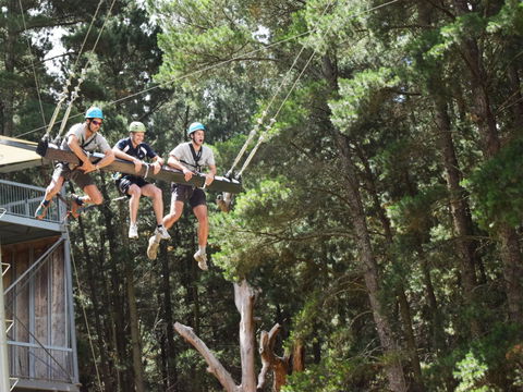 Mount Lofty Adventure Hub - Accommodation BNB 1